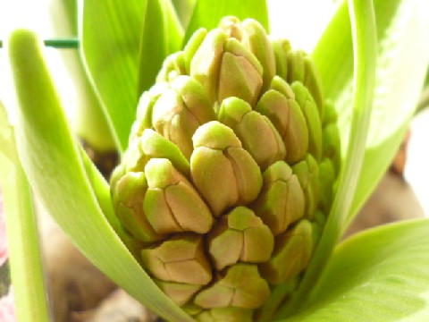 a0255040_11323989.jpg