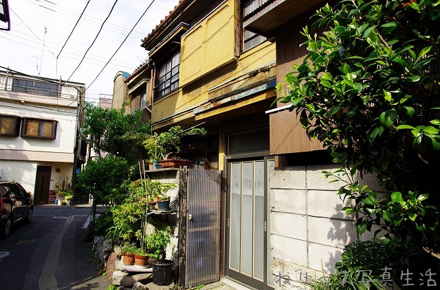 a0009142_194340100.jpg