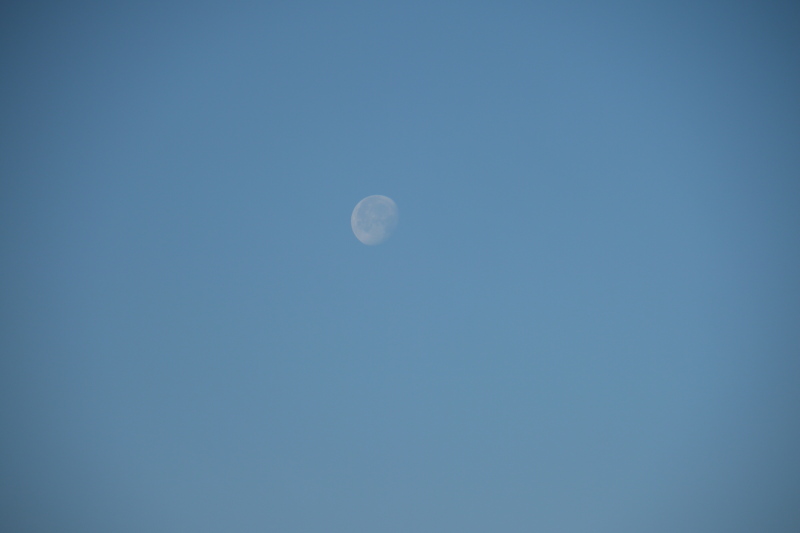 b0190242_16405411.jpg