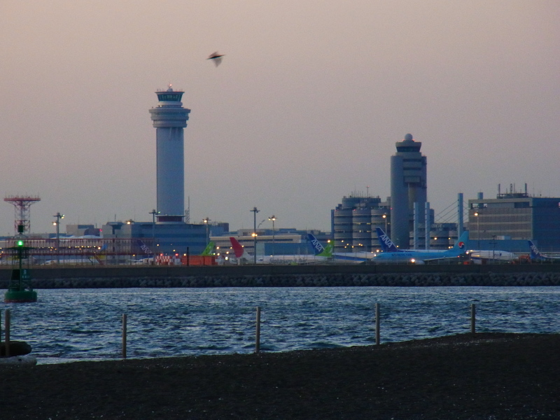 b0190242_16482127.jpg