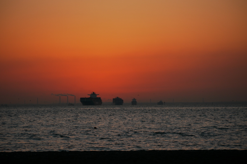 b0190242_1649356.jpg