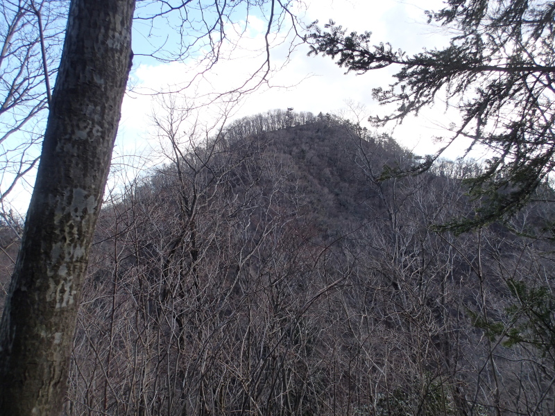 b0190242_1711176.jpg