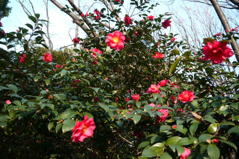 b0190242_17141357.jpg