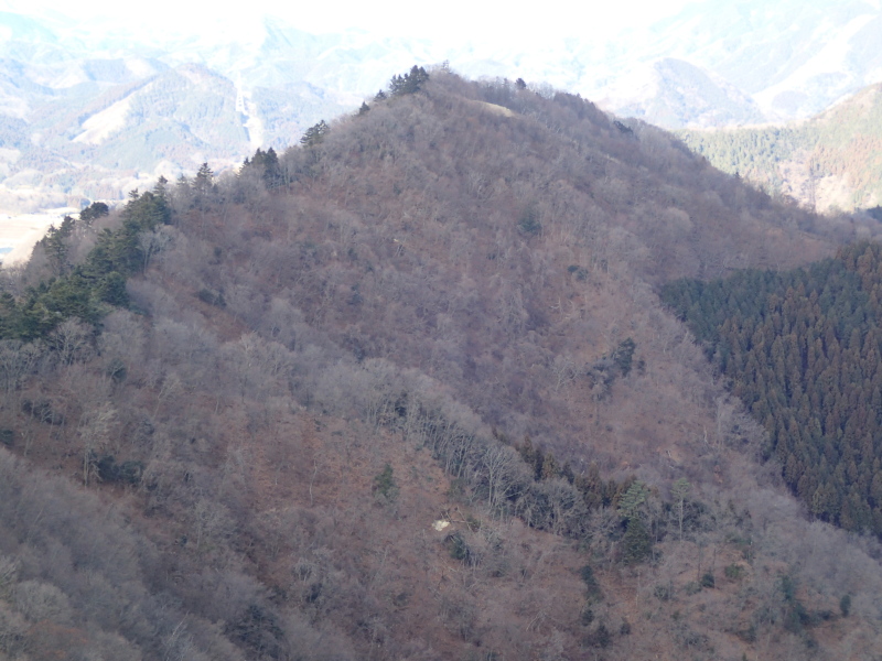 b0190242_1717159.jpg