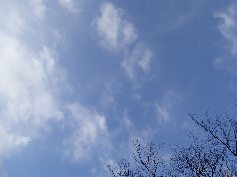 b0190242_1719579.jpg