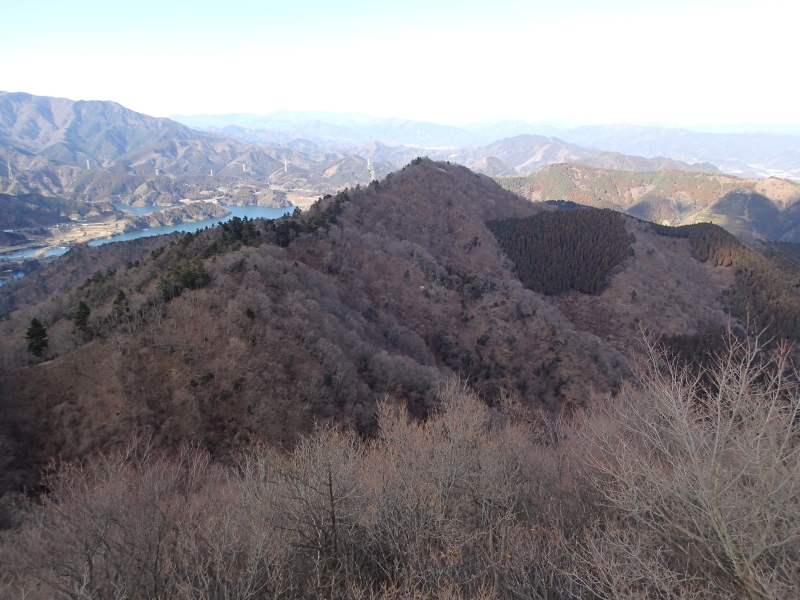 b0190242_1721489.jpg