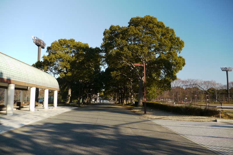 b0190242_17254315.jpg
