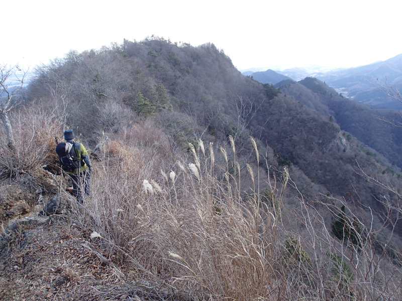b0190242_1741717.jpg