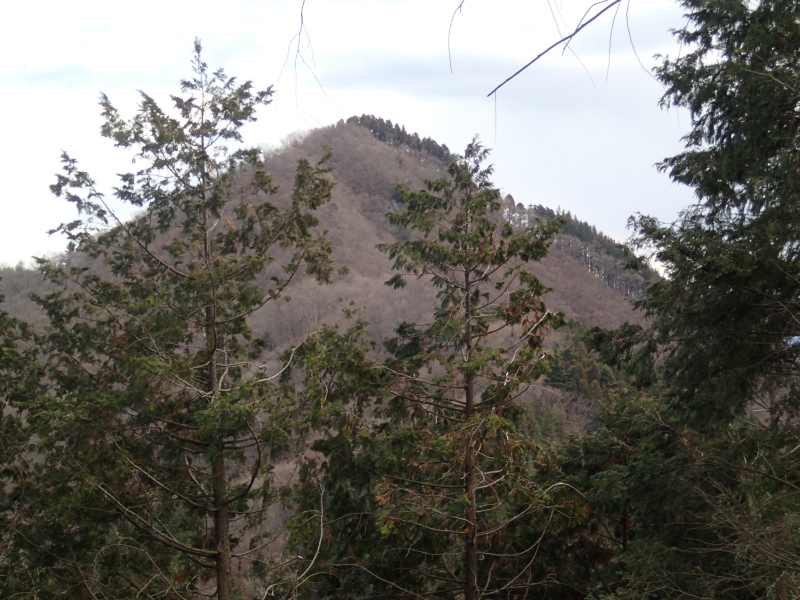 b0190242_1754030.jpg