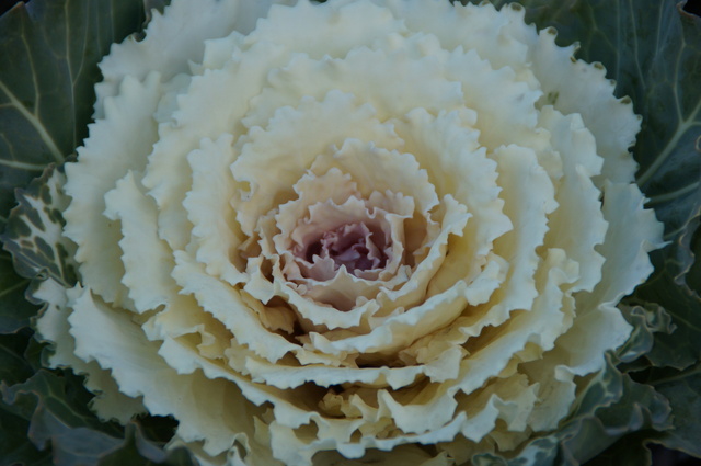 b0017844_0315866.jpg