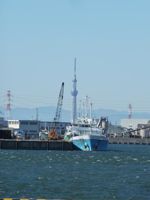 d0288144_17365484.jpg