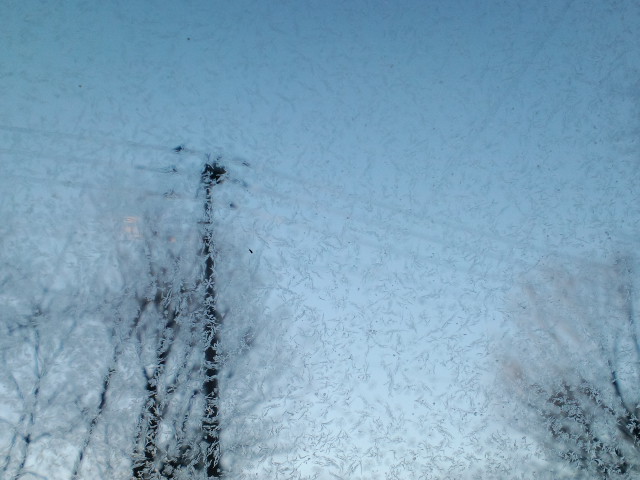a0299945_9412441.jpg
