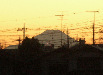 e0172950_170568.jpg