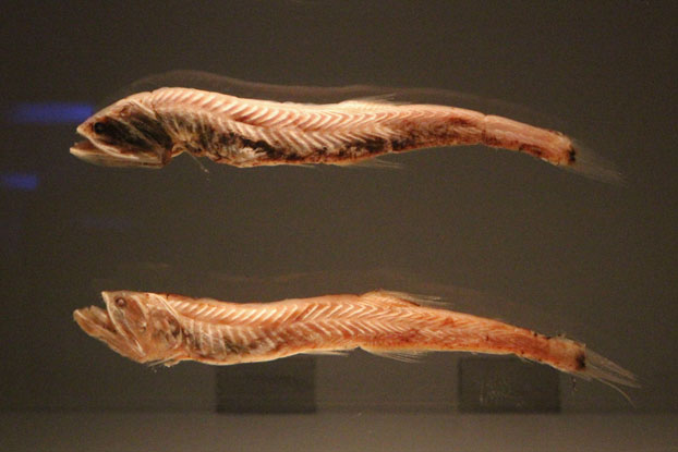 e0294253_1272591.jpg