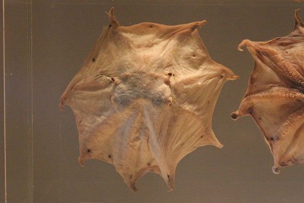 e0294253_129284.jpg