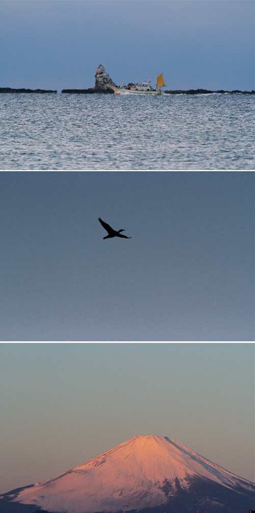 a0157069_751331.jpg
