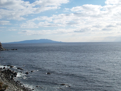 e0078071_2043463.jpg