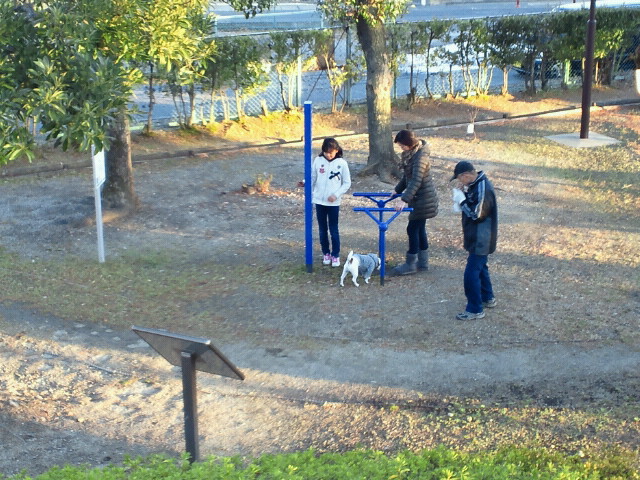 f0100871_22491862.jpg