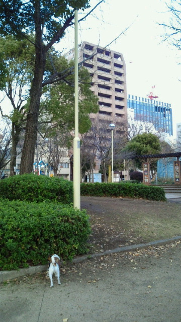 f0100871_2303220.jpg