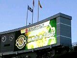f0061674_1751759.jpg