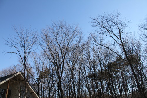 e0114977_1154082.jpg