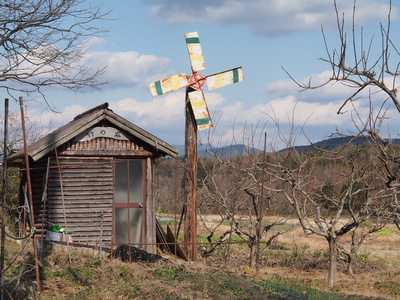 c0000685_1412654.jpg