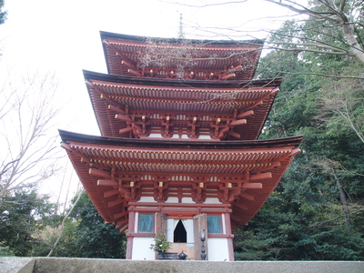 c0000685_1441428.jpg