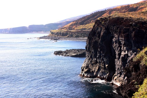 c0204385_2311446.jpg