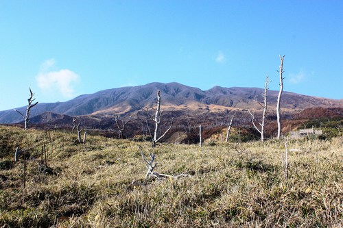 c0204385_23131035.jpg