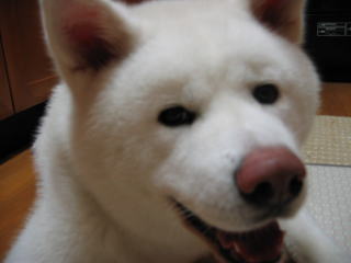 a0187087_1656409.jpg