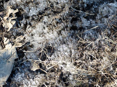 c0146788_14305860.jpg