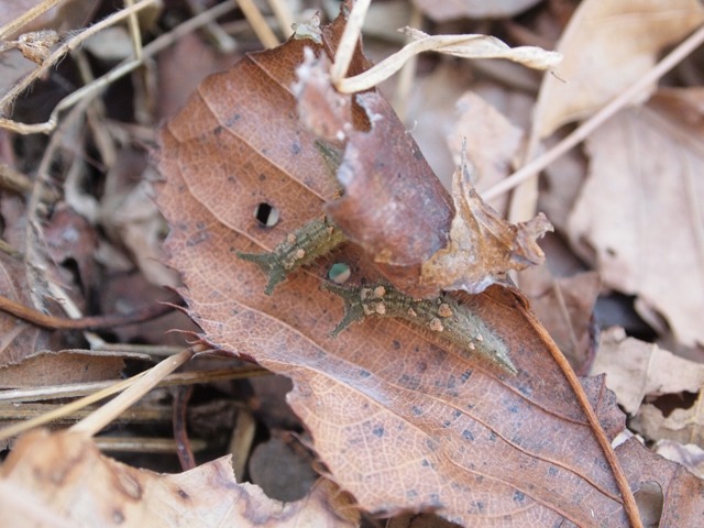 b0194593_19495510.jpg