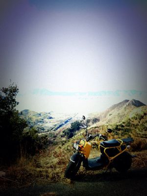 c0060593_15524470.jpg