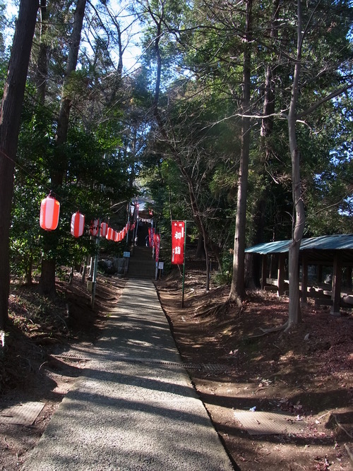 d0164495_8595725.jpg