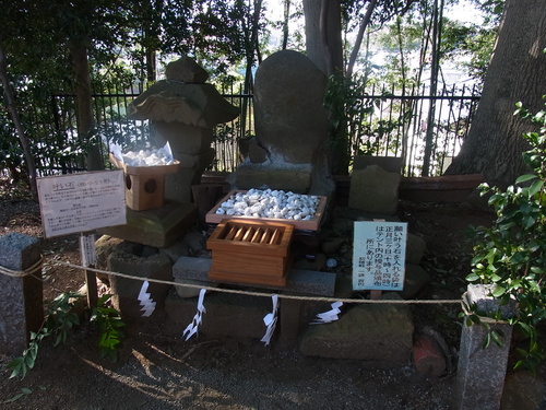 d0164495_921848.jpg