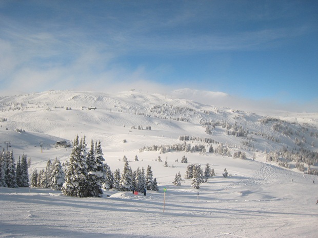 f0038904_612127.jpg