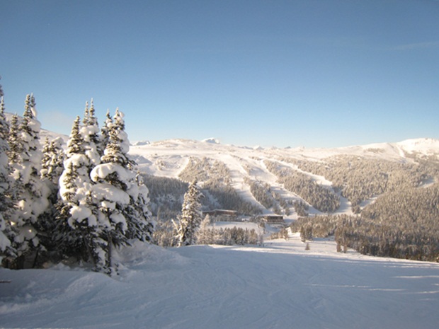 f0038904_636643.jpg
