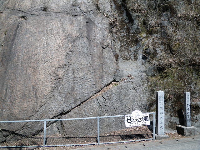 a0116205_21545533.jpg