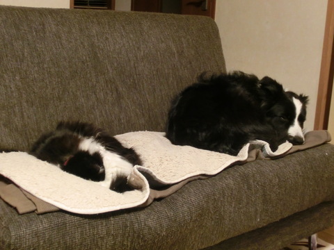 b0239909_22115849.jpg