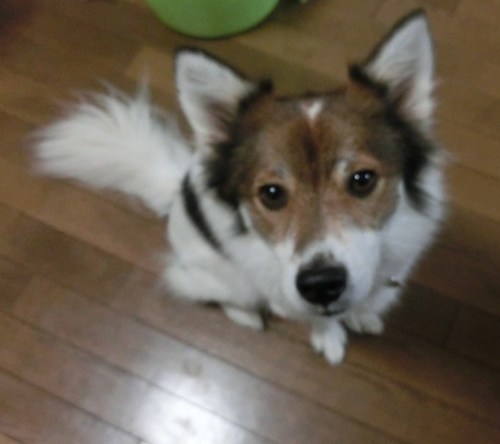 e0254813_083453.jpg