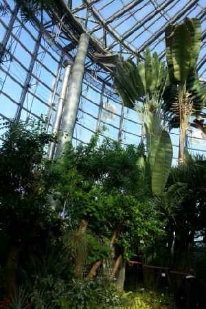 e0047322_21374914.jpg