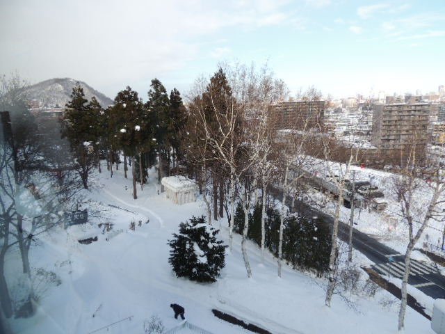 b0185330_17552589.jpg