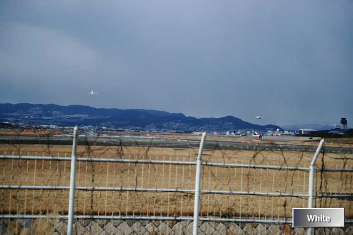 c0227134_5104487.jpg