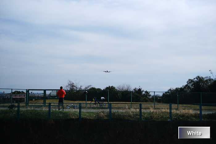 c0227134_535461.jpg