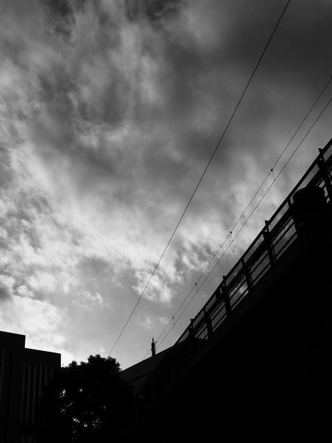 a0087341_2335401.jpg