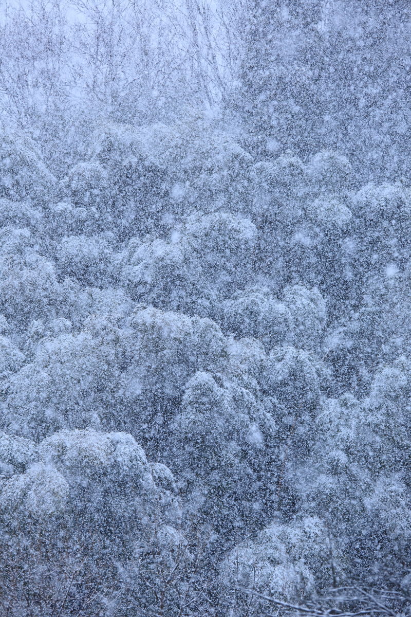 d0135242_2372681.jpg