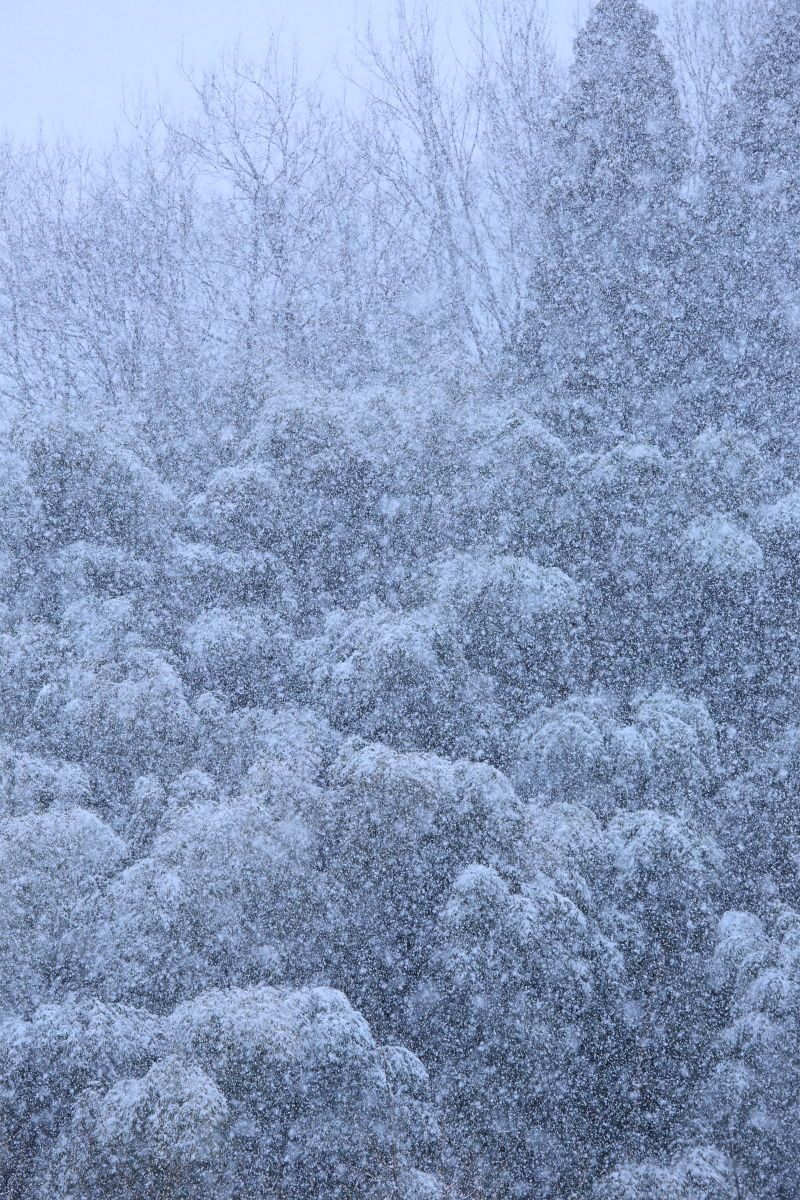 d0135242_2375775.jpg