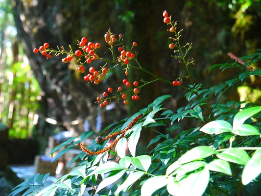 a0288649_2261648.jpg