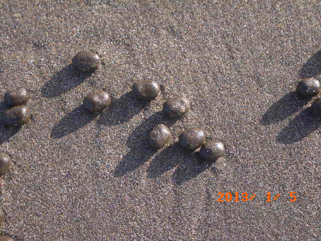 a0157451_2264481.jpg