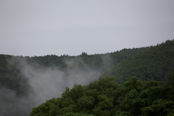 e0122855_20445016.jpg